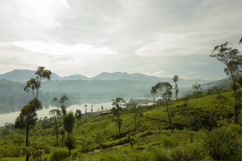 Viajes de naturaleza en Sri Lanka © Sociedad Geográfica de las Indias by Patrycja Zbierska