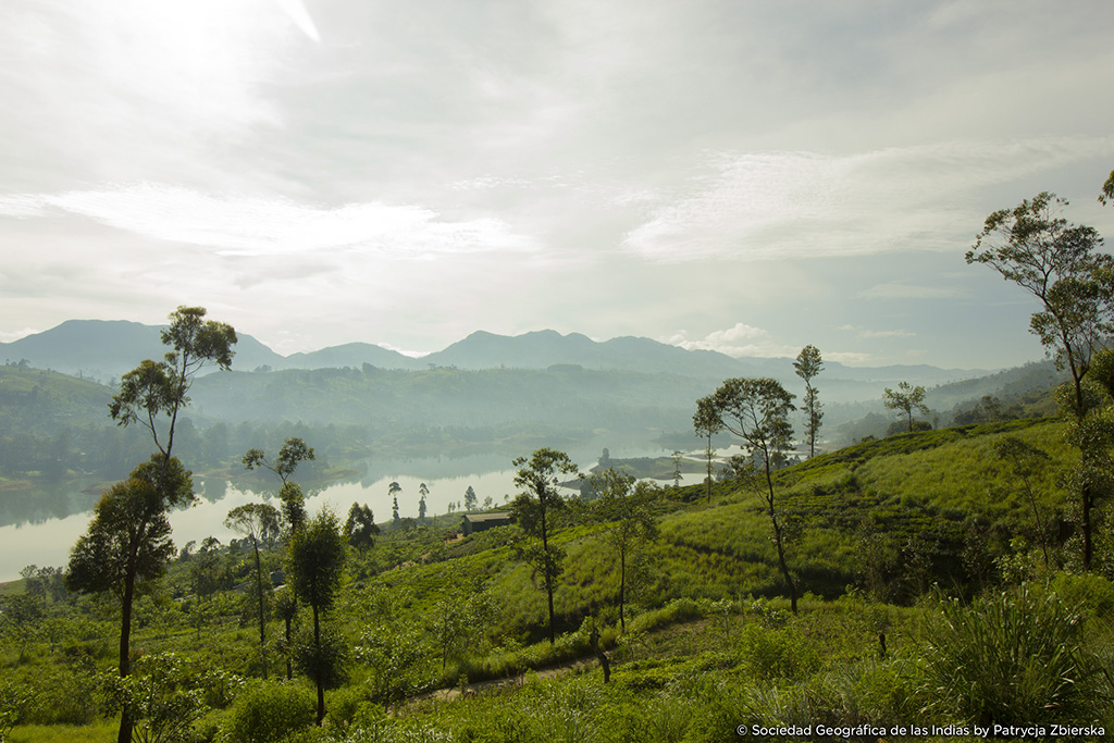 Viajes de naturaleza en Sri Lanka © Sociedad Geográfica de las Indias by Patrycja Zbierska